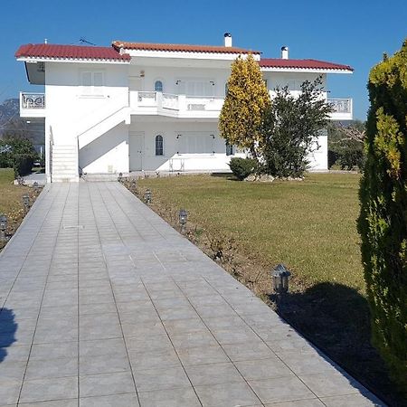 Silver Villa Raches Maisonette & Green Kouvéla Esterno foto