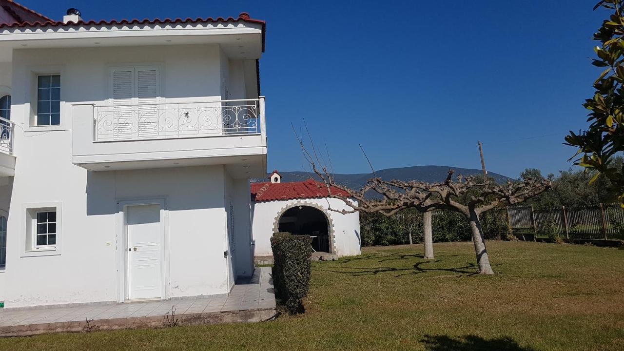 Silver Villa Raches Maisonette & Green Kouvéla Esterno foto